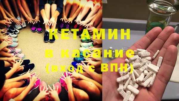 трава Гусь-Хрустальный