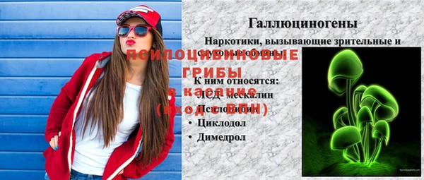 трава Гусь-Хрустальный