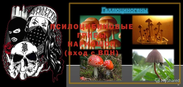 амфетамин Гусев