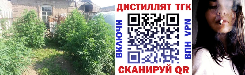 ТГК вейп с тгк Нальчик