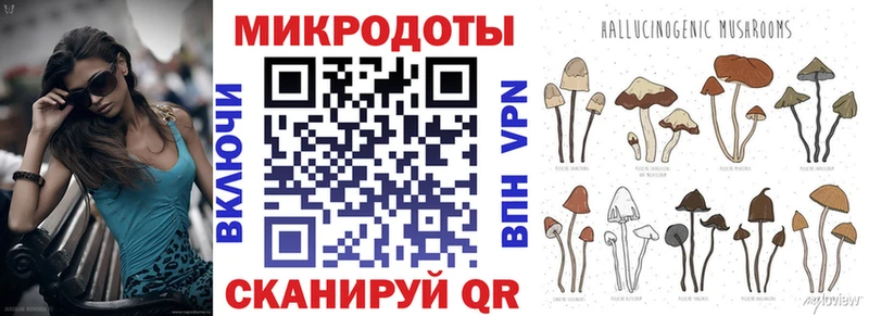 Галлюциногенные грибы мухоморы купить наркоту кракен Нальчик
